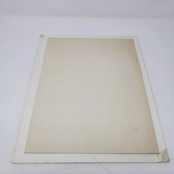 Bianchini Ferier Passereau Lyon Silk Art Bouvreuil & Gros Bec Birds Passereaux - Picture 9 of 9